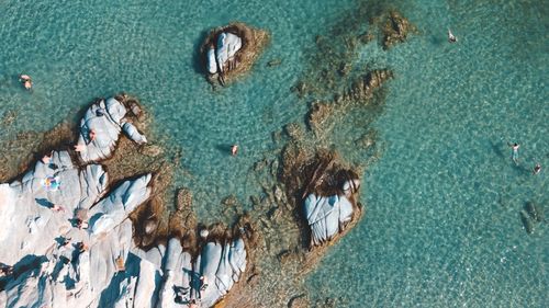 High angle view of people swimming in sea