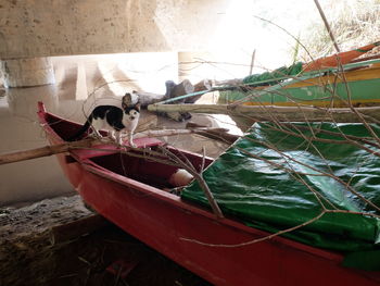 Boat moored on shore