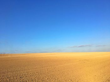 Scenic view of field against clear blue sky