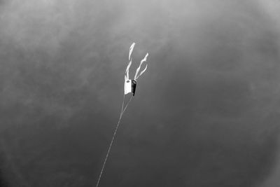 Low angle view of kite flying against sky