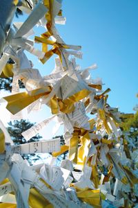 Low angle view of wishing papers on fence