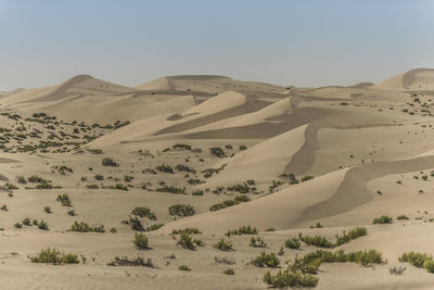 Sand dunes in desert against clear sky