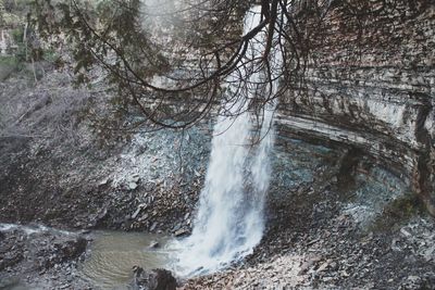 Scenic view of waterfall in forest