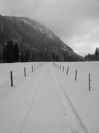 snow