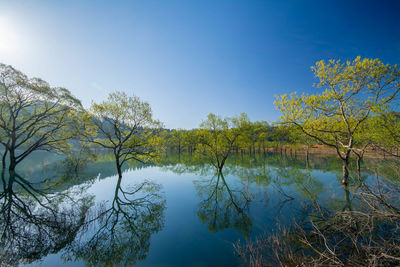 Scenic view of lake against clear blue sky