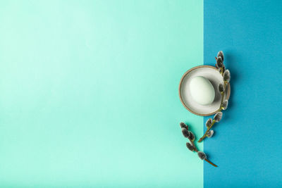 Close-up of door knocker on wall