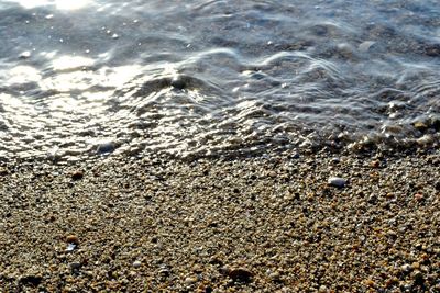 Scenic view of sea