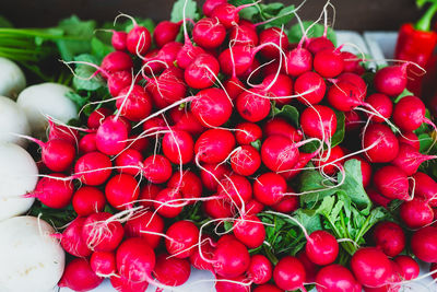 Close-up of tomatoes