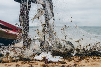 Low section of fisherman with net at beach