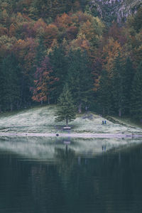 View of lake in forest during autumn
