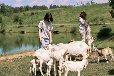 Dad and daughters feed goats in a clearing in the forest