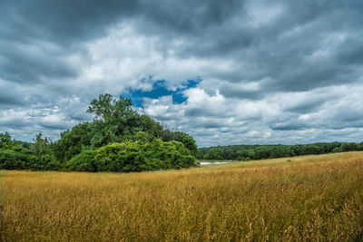 Scenic view of field against cloudy sky