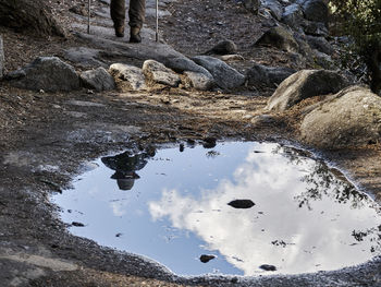 Reflection of tree in puddle on lake against sky