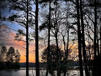 Silhouette trees in forest against sky during sunset