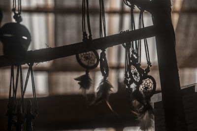 Close-up of a horse hanging