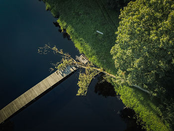High angle view of pier over river in forest