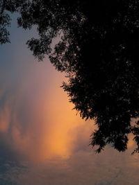 Low angle view of silhouette tree against sky at sunset