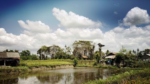 Scenic view of lake by trees and buildings against sky