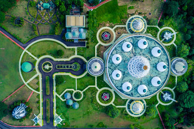 High angle view of multi colored plants in park