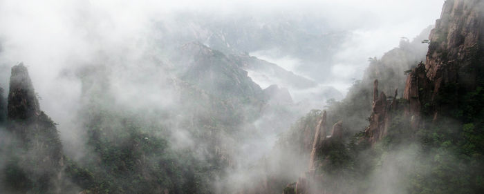 Panoramic view of trees and mountains