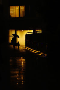 Rear view of people walking on street at night