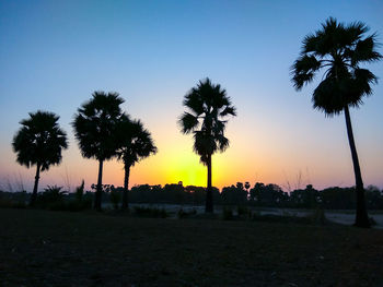 Silhouette palm trees on field against clear sky at sunset