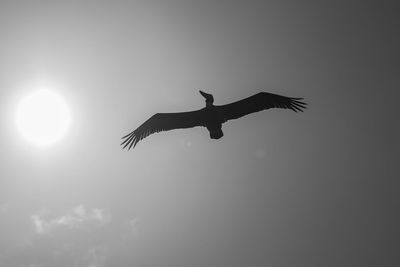 flying