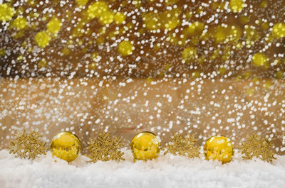 Close-up of yellow leaf on snow