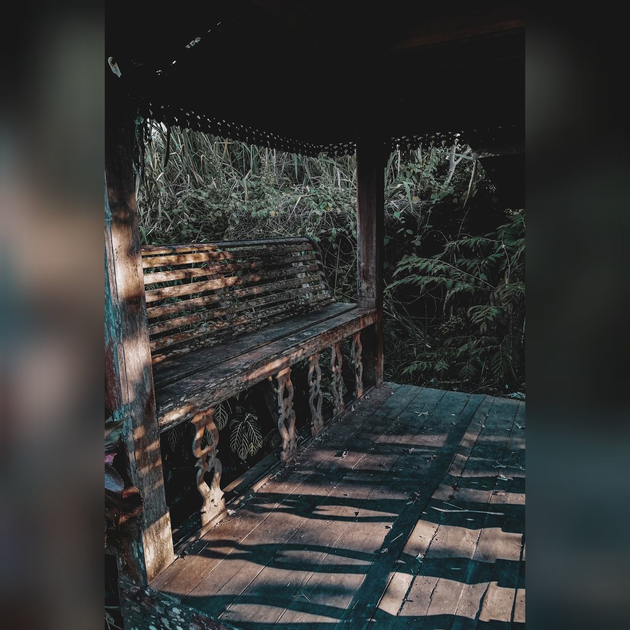 ABANDONED BUILDING IN FOREST