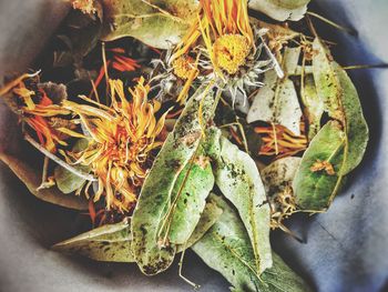 Close-up of dry flowers and leaves in container