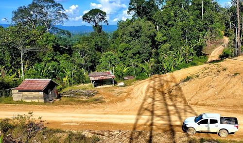 Cars on road along trees