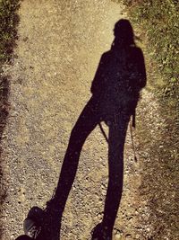 Shadow of man and woman with dog