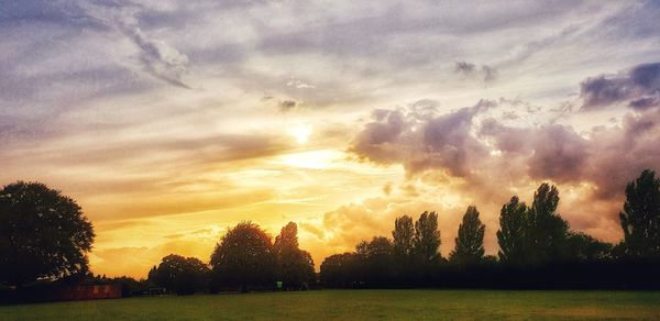 Silhouette trees on field against dramatic sky