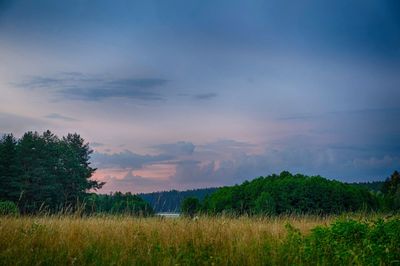 Scenic view of field against sky