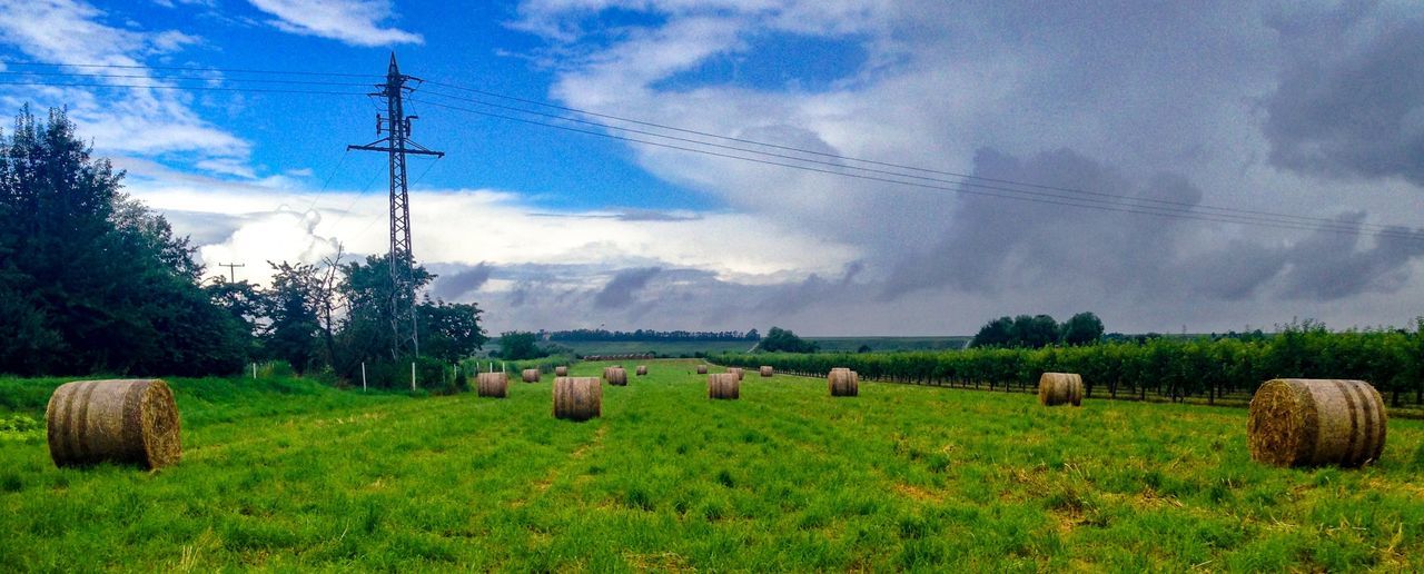 field, sky, rural scene, landscape, agriculture, electricity pylon, power line, grass, cloud - sky, electricity, hay, power supply, tranquil scene, cloud, nature, tranquility, cable, bale, cloudy, growth, day, no people, beauty in nature, green color, grassy, scenics, outdoors, non-urban scene