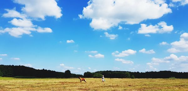 Scenic view of field against sky