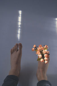 Low section of person standing on flowering plant