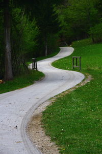 Road amidst trees