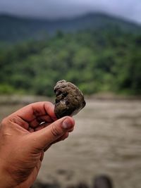 Close-up of hand holding rock
