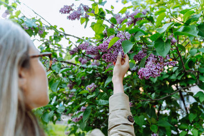 A woman near a lilac bush holds a flowering bunch