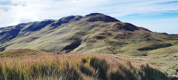 mountain
