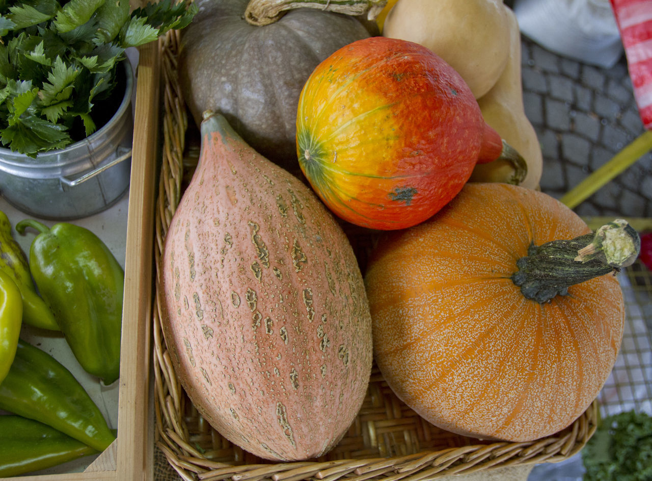 HIGH ANGLE VIEW OF PUMPKINS ON MARKET