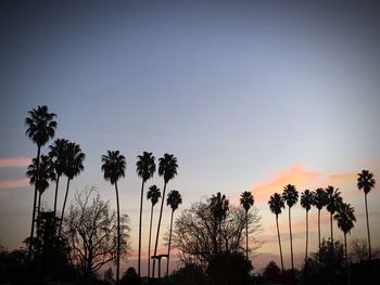 Low angle view of silhouette palm trees against clear sky