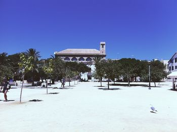 Trees and buildings against clear blue sky