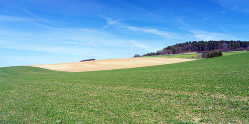 Scenic view of field against sky