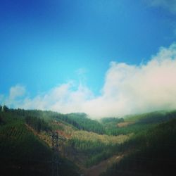 Scenic view of grassy field against cloudy sky