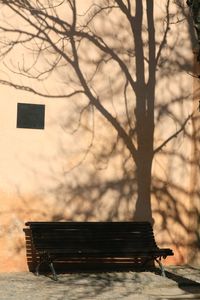 Empty bench against bare tree against sky