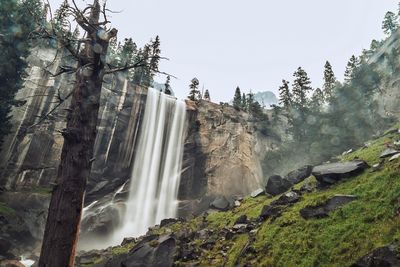 Scenic view of waterfall in forest