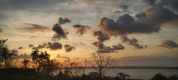 Silhouette trees by lake against sky during sunset