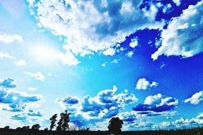 Low angle view of silhouette trees against blue sky